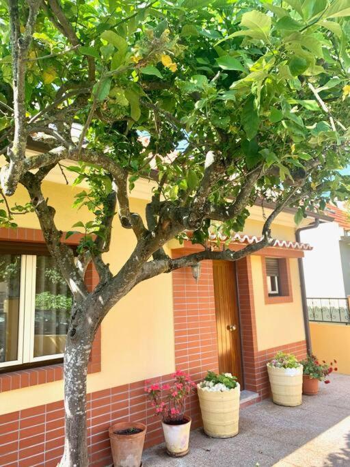 Top Beach House Кошта-да-Капарика Экстерьер фото